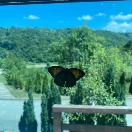 Nature Bihać